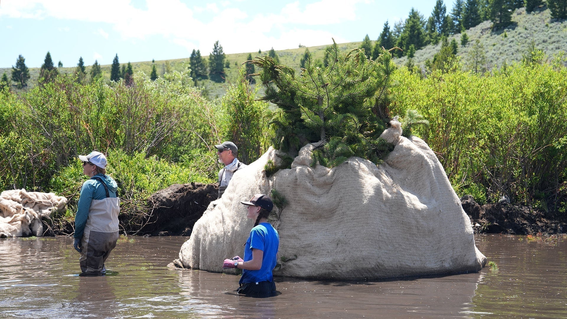 Building a Beaver Lodge Out of Hemp: Montana Gold Fiber's Newest Application