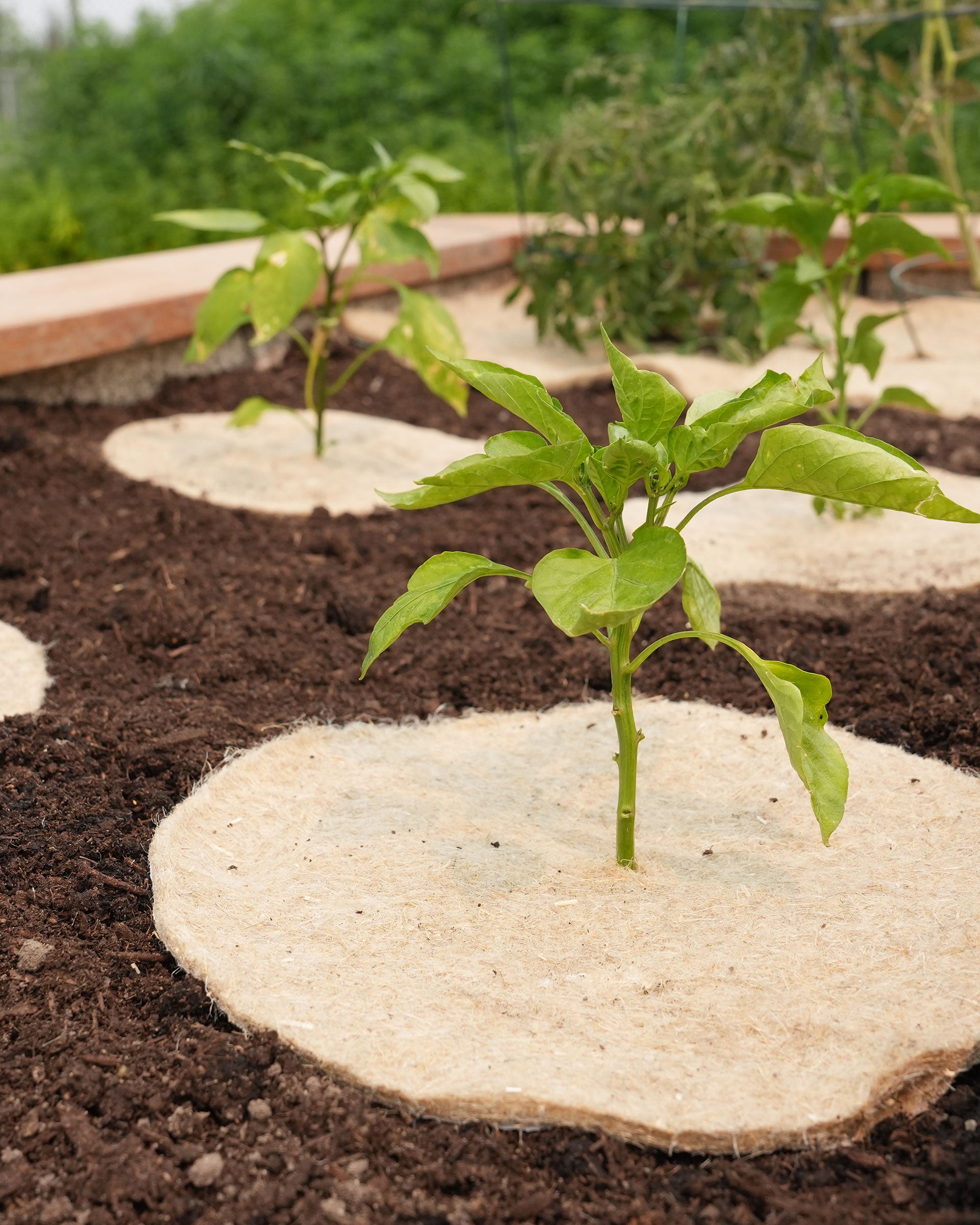 Hemp Mulch Mats